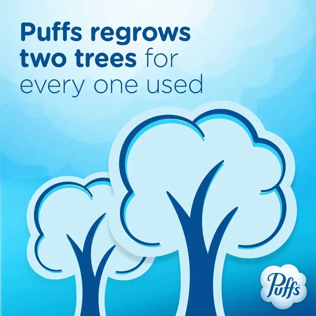 Puffs Plus Lotion with Vicks Facial Tissues, 4 Cubes, 48 Tissues per Box (Pack of 2)